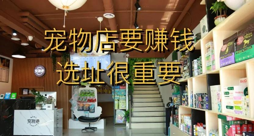 宠物店一般人能开吗缩略图