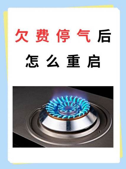 交了燃气费后怎么恢复游戏截图