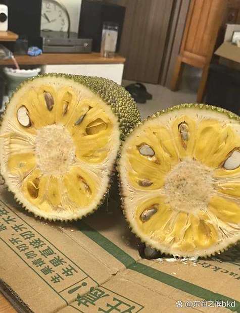 菠萝蜜可以多吃吗缩略图