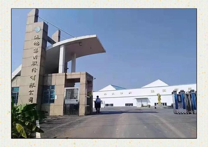 鸿运科技是干什么的缩略图