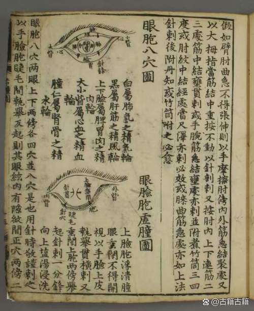 眼皮肿吃什么药最有效缩略图