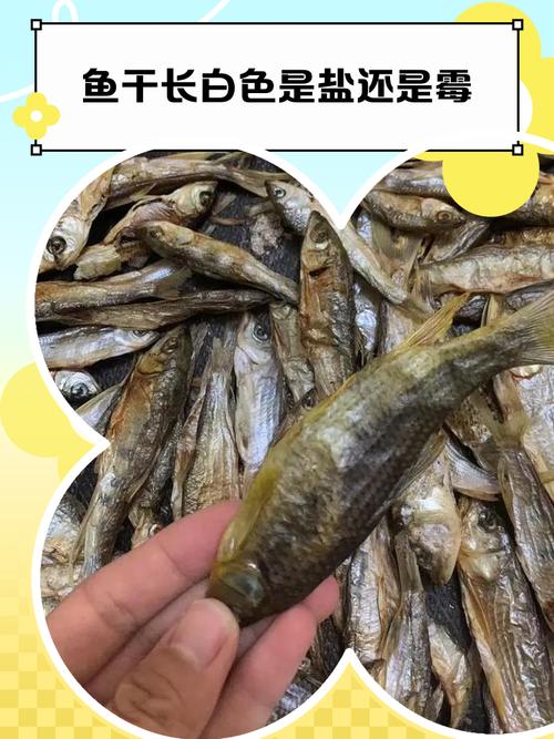 咸鱼肉表面有白色东西缩略图