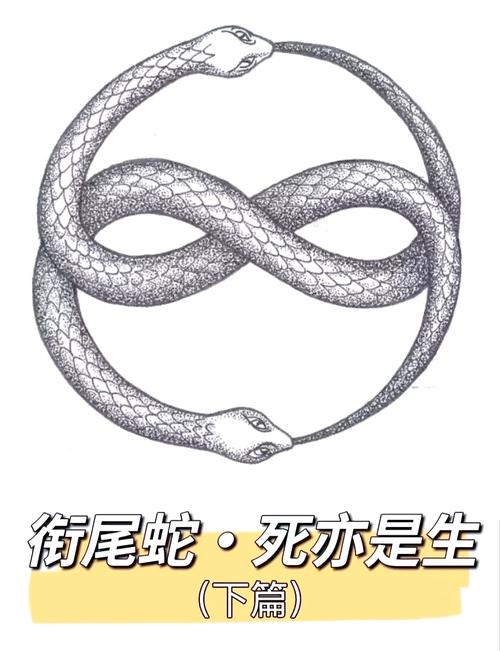如何让投屏视频循环播放缩略图