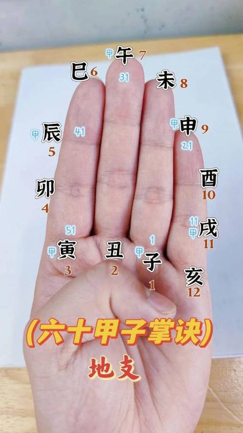 年龄计算器下载安装缩略图