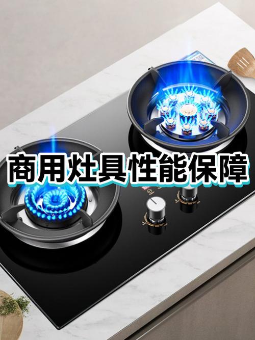 燃气灶寿命一般几年游戏截图