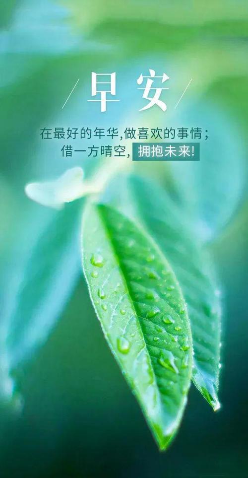经典心灵鸡汤好句缩略图