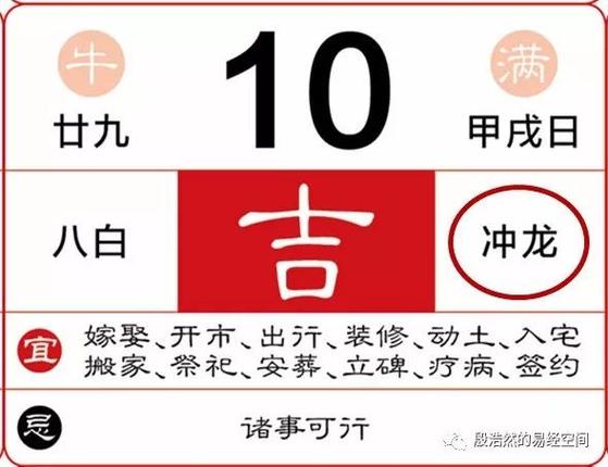如何将文件移动到文件夹中缩略图