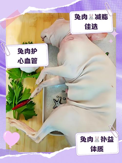 吃兔子肉的好处与坏处缩略图