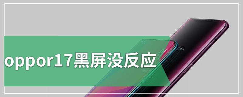 oppor17黑屏没反应游戏截图
