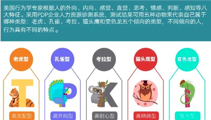 pdp免费测试入口游戏截图