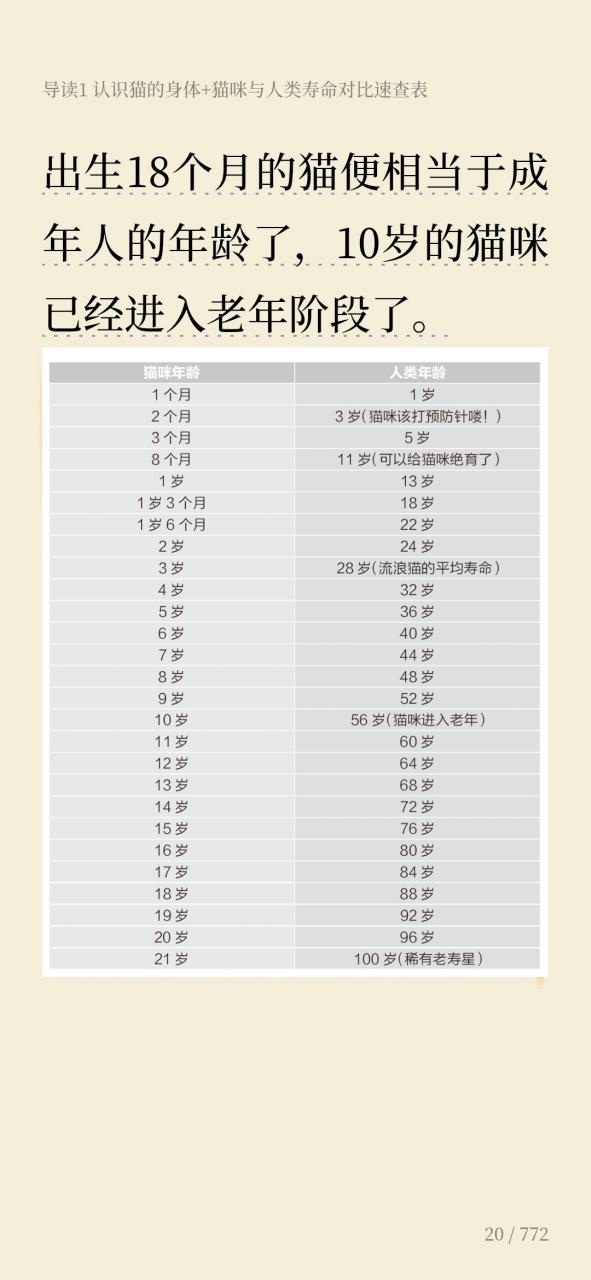 猫寿命有多长游戏截图