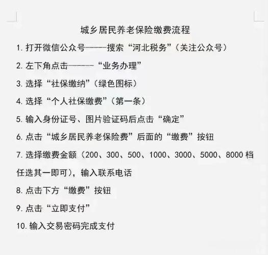 河北税务居民养老缴费步骤游戏截图