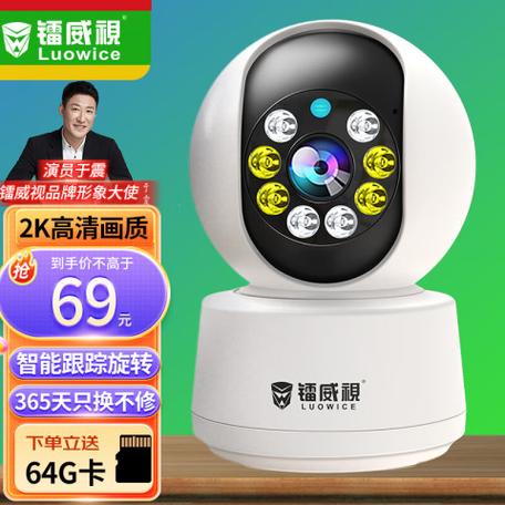 镭威视监控摄像头是品牌吗游戏截图