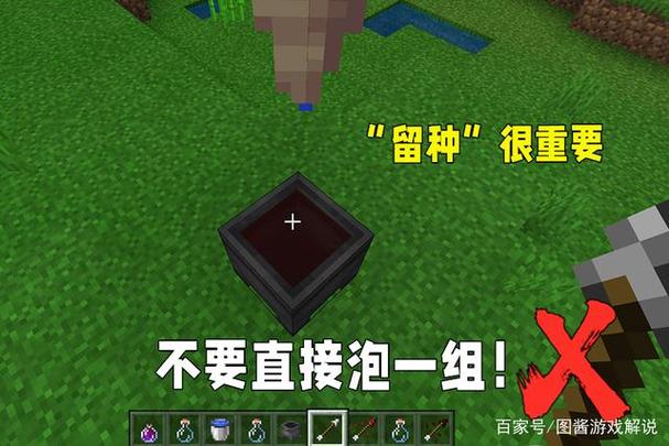 我的世界增加buff的指令缩略图