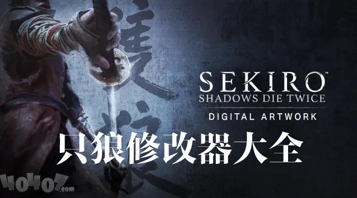 只狼修改器大全缩略图