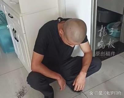 八个月前的监控还能查吗图标