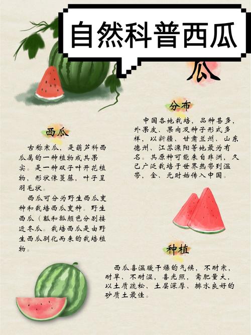 西瓜的介绍缩略图
