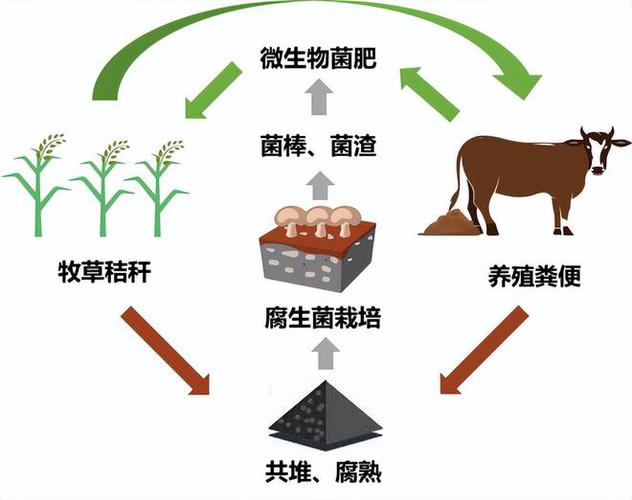 qq能量值怎么一直减少图标