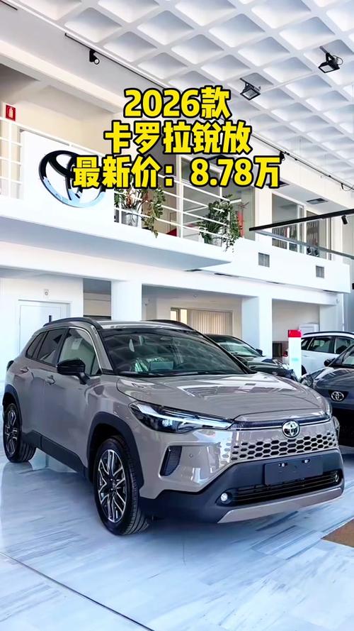 锐放2026款最新款缩略图