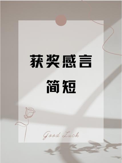 加盟商获奖感言简短缩略图