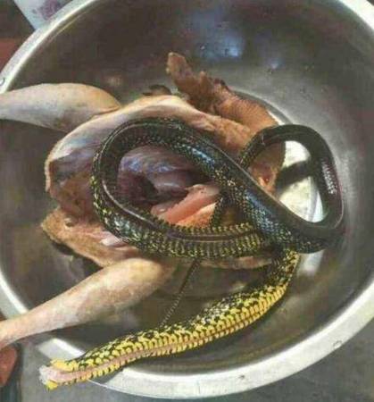 蛇肉为啥叫丧命肉缩略图