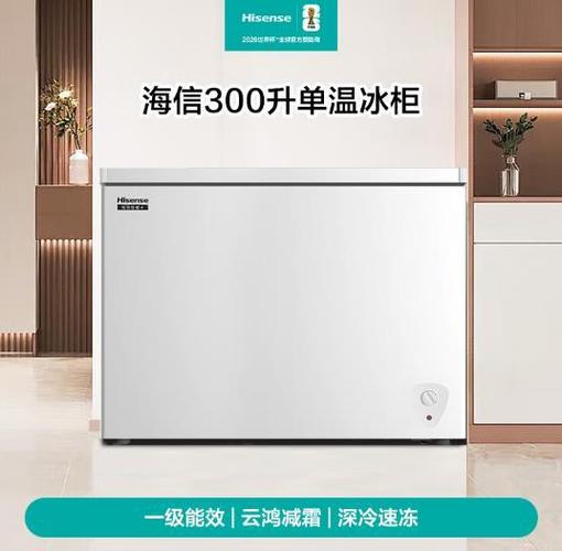 中国冰柜十大名牌排名榜缩略图