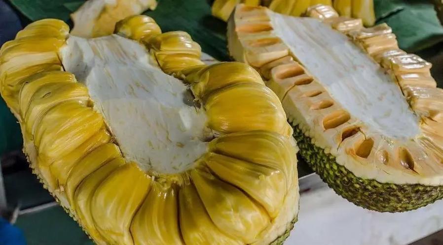 菠萝菠萝蜜和菠萝蜜的缩略图