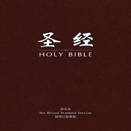 下载基督教圣经书游戏截图