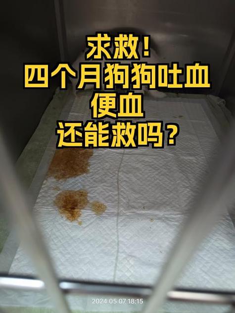 呕吐吐血是什么病的症状缩略图