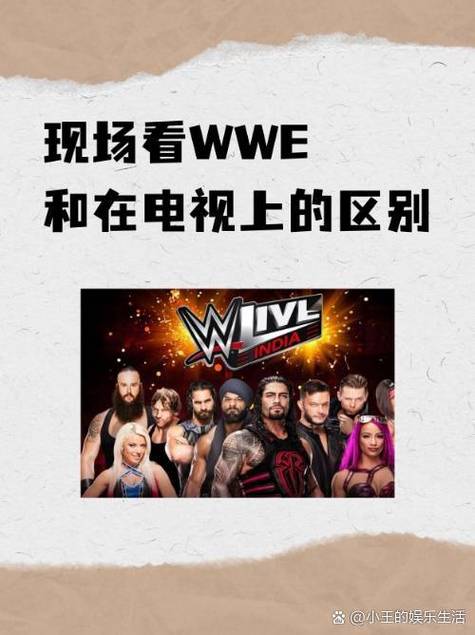 wwe中文解说哪里能看缩略图