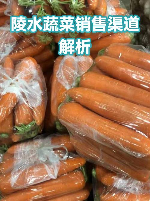 大量蔬菜怎样找销售渠道缩略图