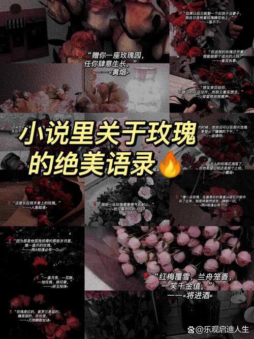 玫瑰小说app下载缩略图