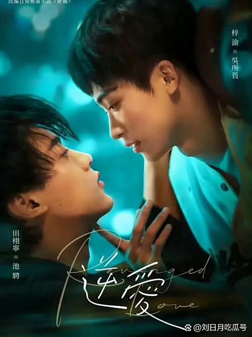 影视剧大全免费观看图标