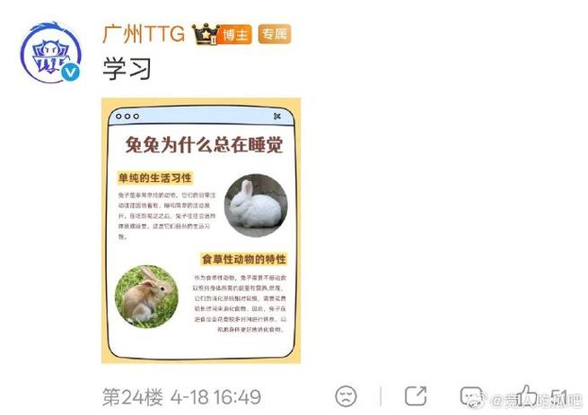 刚买的小兔子能吃胡萝卜吗游戏截图