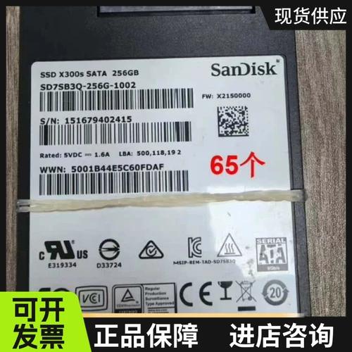 闪迪x300s缩略图
