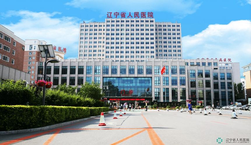 辽宁省人民医院官网缩略图