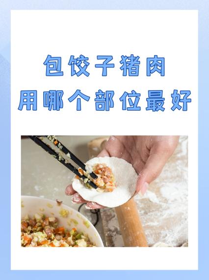 包饺子买什么部位猪肉缩略图