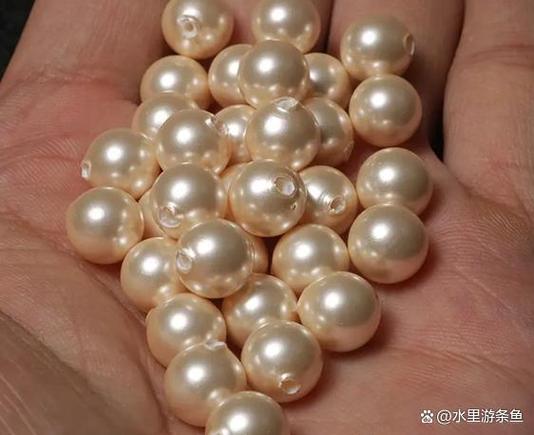贝壳珠价格缩略图