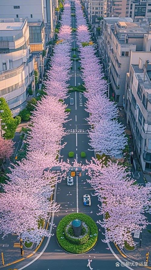繁花满山庄by吴慕苏缩略图