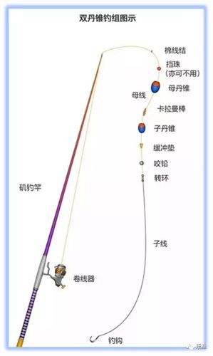 矶竿钓法图标