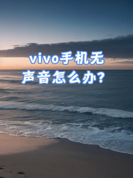 vivo手机视频没有声音是怎么回事缩略图