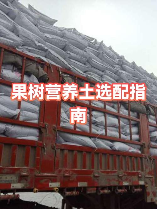 果树种植的最佳搭配缩略图