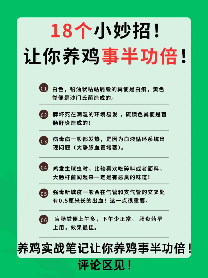 最好养的鸡前十名游戏截图
