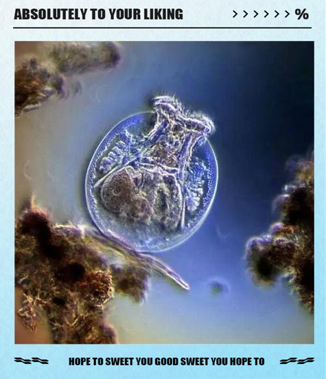 我的世界怎么变成其他生物缩略图
