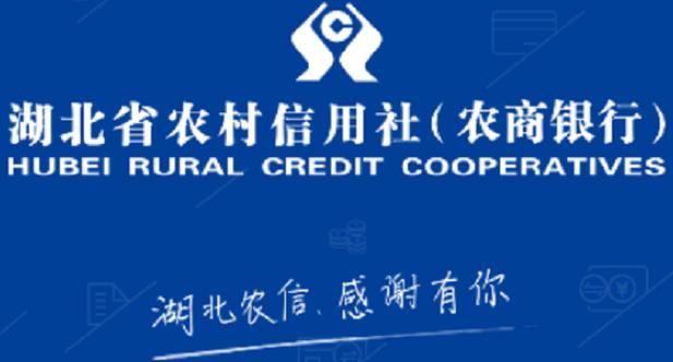 湖北省农村信用社游戏截图