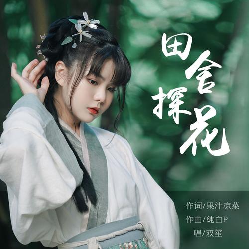 探花歌曲原唱是谁唱的缩略图