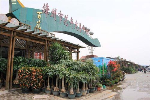花卉批发市场地址缩略图