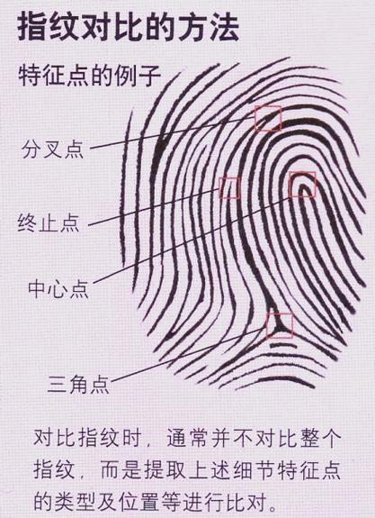 指纹鉴定多少钱一次缩略图