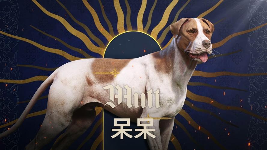 呆呆的新作缩略图