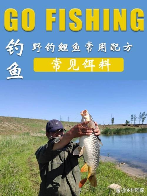 野钓鲤鱼公认最强饵料游戏截图